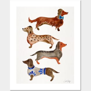 Dachshunds Posters and Art